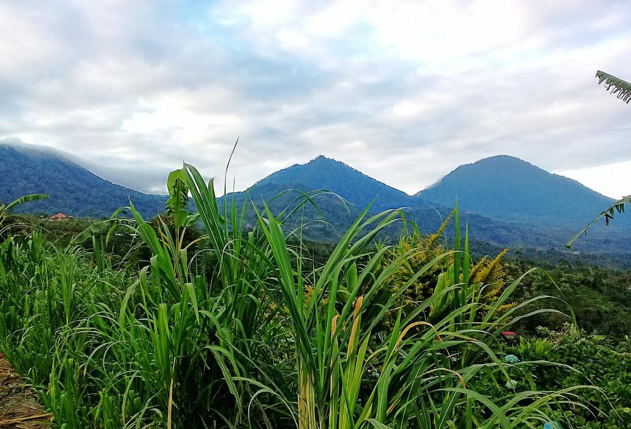 Bendesa Mas Homestay Munduk Exterior foto